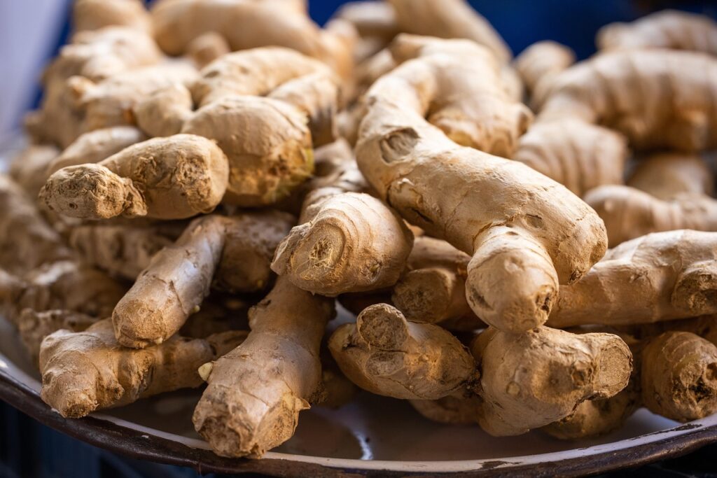 Harnessing Ginger for Nausea and Digestion: Benefits, Dosages, and Safety Tips